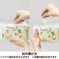 大王製紙 トイレのおそうじシート 小判 オレンジの香り 1箱（24個入）【そのまま使えるファスナー付き】 オリジナル