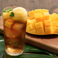 UCC上島珈琲　パラダイスティー　450ml　1セット（48本）