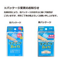 ニチバン 家庭用創傷パッド 救急絆創膏 ケアリーヴ 治す力 防水タイプ Lサイズ 30mm×72mm CNB9L 1箱（9枚入）