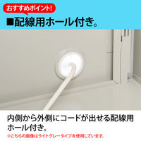 【組立設置込】Ceha A4スチール書庫 抗菌 5段 両開き 下置き用 ブルー 幅880×奥行400×高さ1850mm 1台（取寄品）