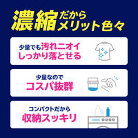 ナノックスワン（NANOX one）洗浄プラス 業務用 洗濯洗剤 濃縮 液体 詰め替え バックインボックス 10kg 1個 ライオン