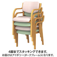 アイリスチトセ 福祉用イス ダークフレーム/アイボリー MD-V-DBR-IV スタッキング リーズチェア 介護 安定 幅520mm 座面高420mm