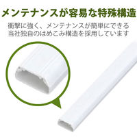 エレコム　マルチ対応モール（両面テープ付）　壁用モール　ホワイト　長さ1m×幅17mm　LD-GAF1/WH　1本（直送品）