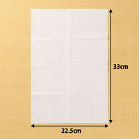 大王製紙 トイレのおそうじシート ローズの香り 本体 1個（12枚入） オリジナル