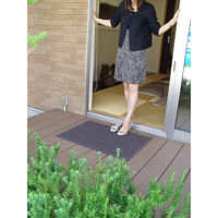 クリーンテックス・ジャパン ウォーターホースTマット88X116cmグリーン BZ000 1枚