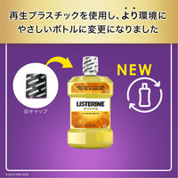 リステリン オリジナル 強刺激 ビタードライ味 1000mL 1本 口臭対策 マウスウォッシュ 洗口液 医薬部外品