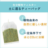 【水出し可】伊藤園 おーいお茶 抹茶入り玄米茶ティーバッグ 1.9g 1セット（100バッグ：20バッグ入×5箱） エコティーバッグ