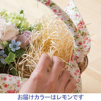 【緩衝材】ヘッズ ボリュームパッキン-レモン（ヘッズ） パッケージ VOP-LY 1袋（500g）