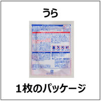 靴用カイロ エステー オンパックス 中敷つま先用 くつ下のつま先裏に敷くカイロ 持続9時間（15足入）