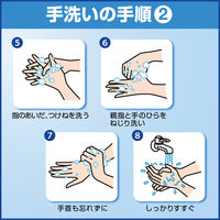 ソフティ薬用泡ハンドウォッシュ クイック＆クリア 本体500mL 1個 泡ハンドソープ 花王