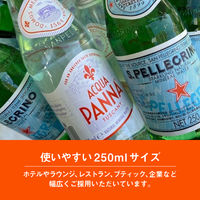 ACQUA PANNA(アクアパンナ) 　500ml