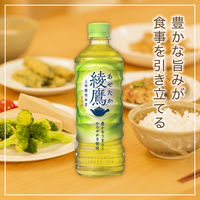 【緑茶】　綾鷹　525ml　1セット（48本：24本入×2箱）