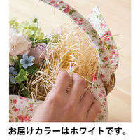 【緩衝材】ヘッズ ボリュームパッキン500g ホワイト 1袋