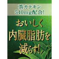 【機能性表示食品】サントリー 伊右衛門 濃い味 2L 1セット（12本）