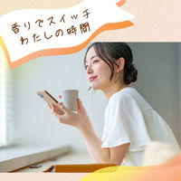 伊藤園 おーいお茶 ほうじ茶 2L 1箱（6本入） お茶 緑茶 日本茶 ペットボトル 大容量