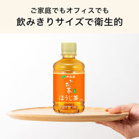 伊藤園 おーいお茶 ほうじ茶 280ml 1セット（48本） お茶 緑茶 小容量 ペットボトル