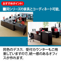 ARAN WORLD　EIDOS（エイドス）　TR収納ハイタイプ　A4　5段　オープン　ダークブラウン　1台（2梱包）（取寄品）