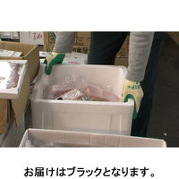 【天然ゴム背抜き手袋】 ショーワグローブ 「現場のチカラ」 簡易包装グリップ(ソフトタイプ) No.310 ブラック L 5双  オリジナル