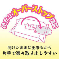 水99.9％ おしりふき 流せるタイプ 1パック（60枚入×3個×16パック） レック