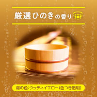 花王　バブ 発泡入浴剤  ひのきの香り　228291　1箱（20錠入）