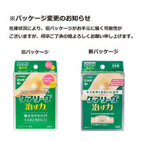 ニチバン 家庭用創傷パッド 救急絆創膏 ケアリーヴ 治す力 ビッグサイズ 60mm×80mm CN5B 1箱（5枚入）