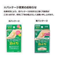ニチバン 家庭用創傷パッド 救急絆創膏 ケアリーヴ 治す力 Lサイズ 30mm×72mm CN9L 1箱（9枚入）