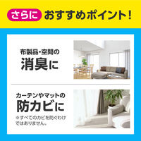 リセッシュ除菌EX　香り残らない　つめかえ用320ml