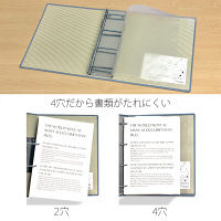 プラス　4バルキーファイル FL-008FB BL　（直送品）