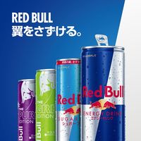 Ｒｅｄ　Ｂｕｌｌ　レッドブル　エナジードリンク　1セット（6缶）