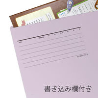 プラス 個別フォルダーエコノミー A4E VL FL-081IF 1パック(10枚入)