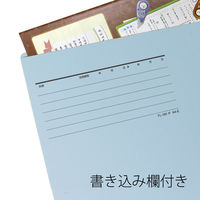 プラス 個別フォルダーエコノミー A4ERB FL-082IF 1パック(50枚)