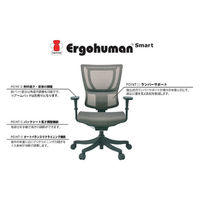 エルゴヒューマン スマート オフィスチェア エラストメリックメッシュ 肘無し グレー/KM10 EHS KM10 GY 1脚