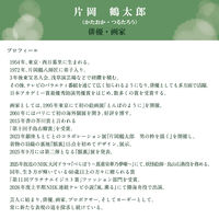 ケミカルジャパン　耳付きシュレッダー袋　LL　1箱（100枚入）