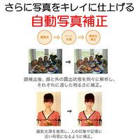 キヤノン A3インクジェットプリンター PIXUS iX6830 黒 5色ハイブリッド 有線無線LAN USB対応 コピー・スキャン・FAX機能なし