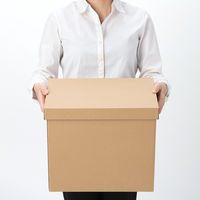 アスクル　ダンボール収納ボックス（組立式）　L　無地　1セット（10個）　段ボール  オリジナル