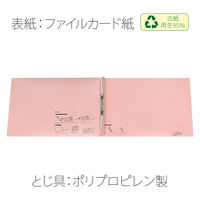 プラス セノバスエコノミーA3E FLー002SE PK FL-002SE 1袋(3冊)