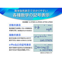 カシオ計算機　新数学自然表示関数電卓　FX-JP900-N