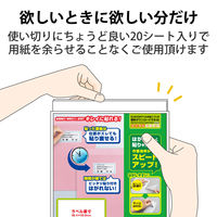 エレコム 宛名・表示ラベル/きれい貼/10面付/20枚 EDT-TMEX10 1パック（直送品）