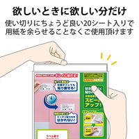 エレコム 宛名・表示ラベル/きれい貼/240枚/12面×20シート EDT-TMEX12 1個
