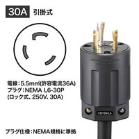 サンワサプライ サーバーラック用コンセント 19インチ用 IEC C13/12個口/3m/200V・30A TAP-SV23012（直送品）