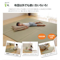 イケヒコ・コーポレーション い草マットレス 約100×210cm シングル 1110830011738 1枚