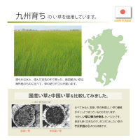 イケヒコ い草 置き畳 ユニット畳 国産 半畳 単品 『かるピタ』 約82×82cm （裏：すべりにくい加工） 1枚（直送品）