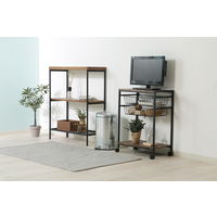 不二貿易 スチール ラウンドペダルペール 12L ガルバナイズ 34741 1個