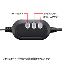 サンワサプライ USBヘッドセット MM-HSUSB13BKN 1個（直送品）