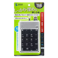 サンワサプライ USB2.0ハブ付テンキー NT-17UH2SVN 1個