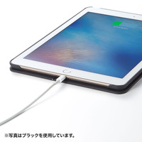 サンワサプライ iPad Pro9.7インチ iPad Air2 ハードケース（スタンドタイプ・青） PDA-IPAD94BL 1個（直送品）