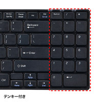 サンワサプライ 英語配列USBスリムキーボード 有線 パンタグラフ ブラック SKB-E2U 1個（直送品）
