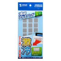 サンワサプライ ノートパソコン冷却パット TK-CLNP12SV 1個