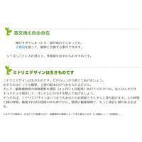 トヨタサントリーミドリエ MIDORIE DESIGN（ミドリエデザイン）観葉植物 グリート ホワイト17B4 1個（直送品）