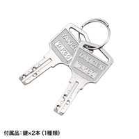 サンワサプライ セキュリティラック RAC-SL2 幅740×奥行500×高さ775mm 1台（直送品）